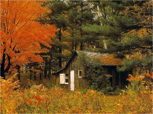 10 tendencias sobre casas pequeñas: forma, función, ecologÃa ...